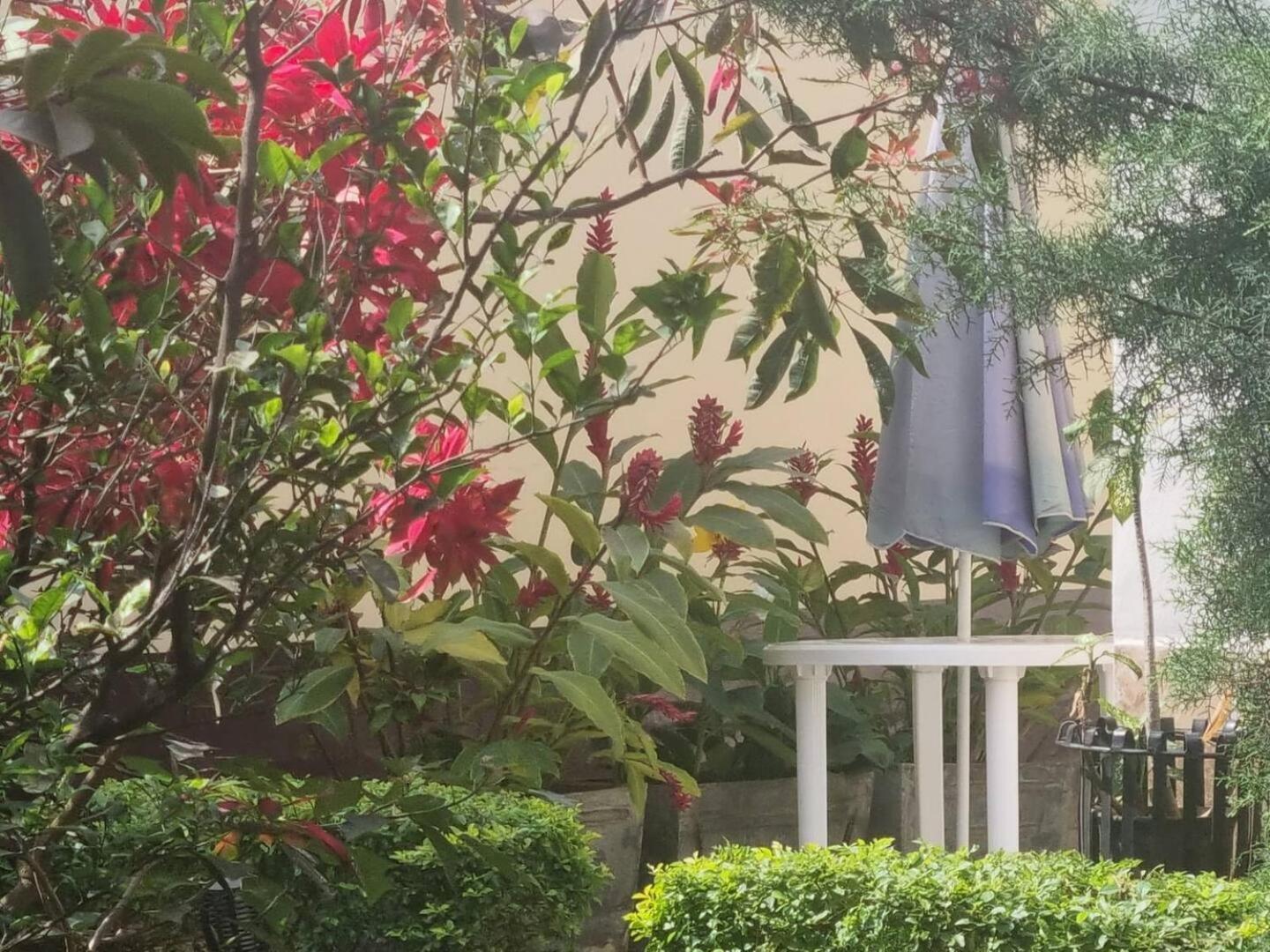 Tout Confort Avec Jardin Entree Bastos Yaoundé 外观 照片