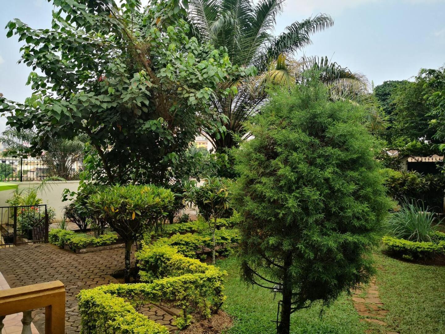 Tout Confort Avec Jardin Entree Bastos Yaoundé 外观 照片