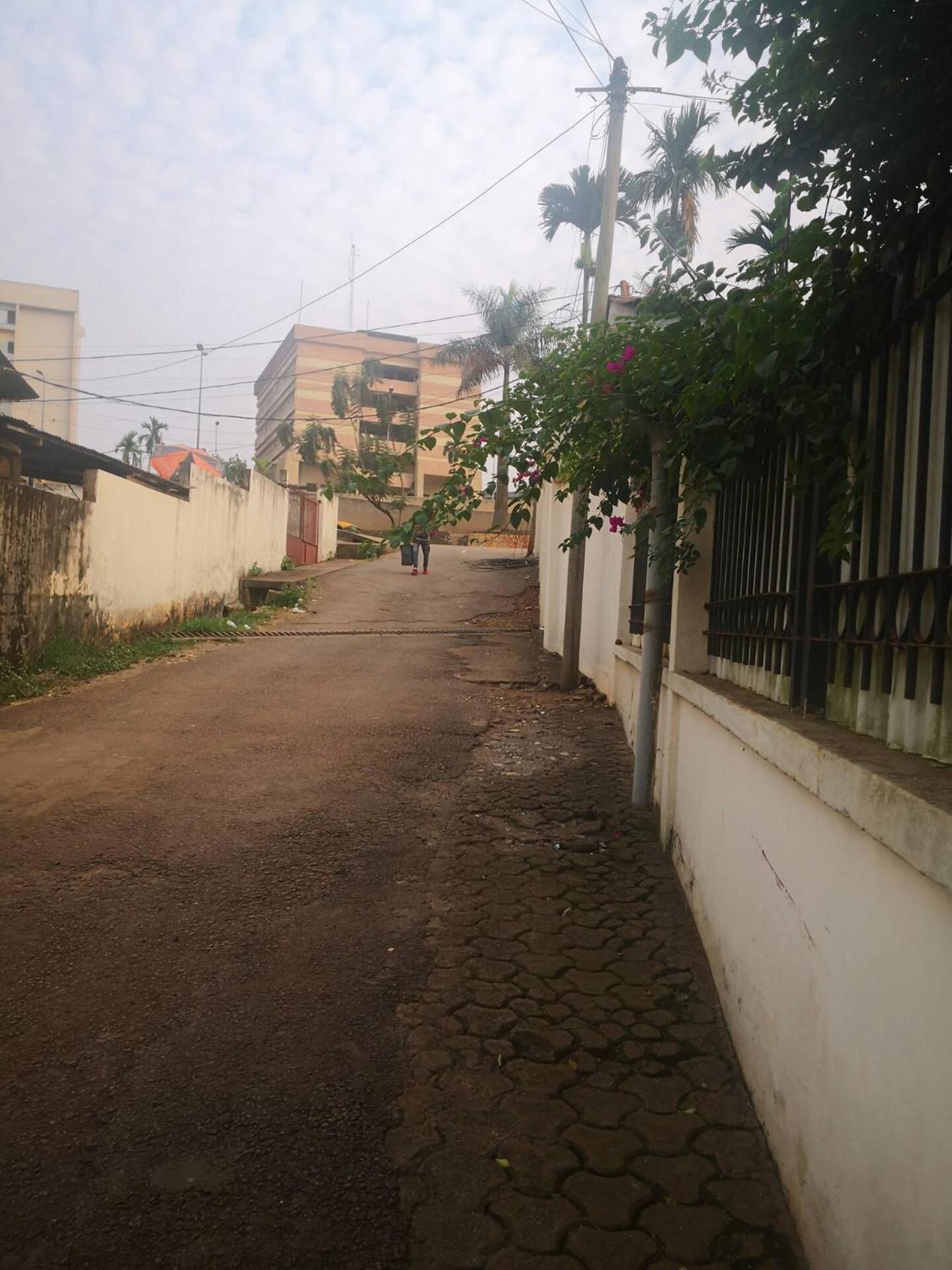 Tout Confort Avec Jardin Entree Bastos Yaoundé 外观 照片